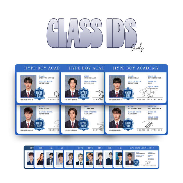 Class IDs (Set)